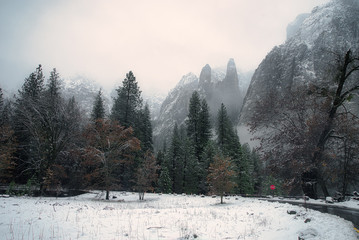 A foggy winter day in Yosemite Valley