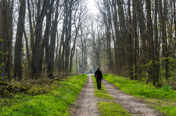 Walking on a country road with lush green grass by springtime