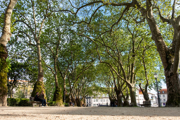 Park in Porto