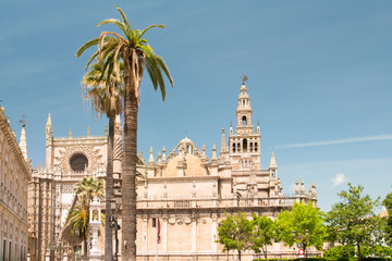 Fototapeta na wymiar Cathedral of Saint Mary, Catedral de Santa Maria de la Sede in Seville