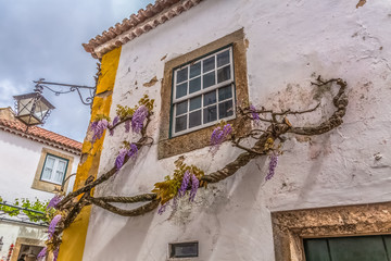 View of a Portuguese vernacular building with climb plant on facade, on medieval village of...