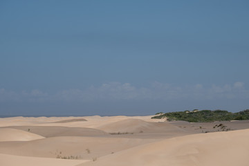 Alexandria dune fields a the Sundays River estuary, near Addo / Colchester on the Sunshine Coast in South Africa.