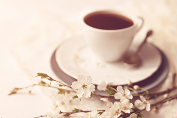 Morning spring coffee