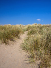The beautiful sand dunes of Instow beach in North Devon , England