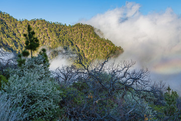 Landscape view under Teide National Park, Tenerife