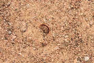 Rejected gold wedding ring buried in sea sand after a divorce.
