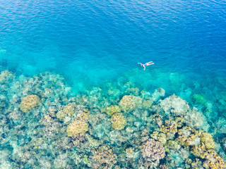 Aerial top down people snorkeling on coral reef tropical caribbean sea, turquoise blue water. Indonesia Wakatobi archipelago, marine national park, tourist diving travel destination