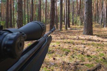 rifle with scope on the background of the forest