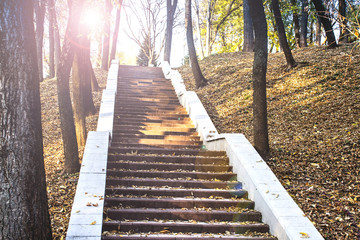Fototapeta na wymiar Staircase with colorful autumn and leaves. Old staircase in a city park. Autumn landscape. The steps of the old staircase in the light of the evening sun.