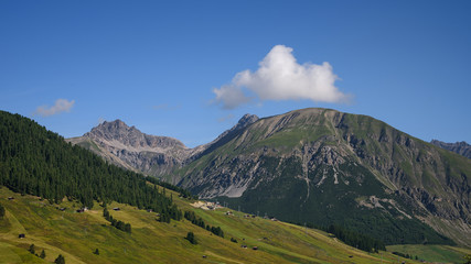 Beautiful summer landscape from Livigno in Italy: mountains with pine trees and green grass, blue sky with a white cloud over the mountain top, travel photography