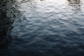 Gently lapping waves form ripples on the surface of dark