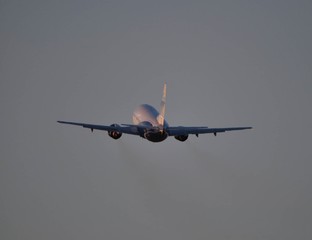 Airplane in the sky