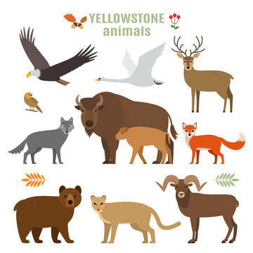 Set of forest animals, birds and plants in a cartoon style. Flat vector illustration isolate