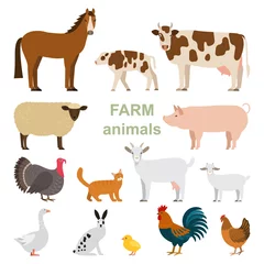 Fotobehang Boerderij Een groot aantal dieren en vogels met een boerderij in een cartoon-stijl. Platte vectorillustratie geïsoleerd