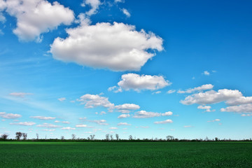 Beautiful landscape with an amazing blue cloudy sky and green grass