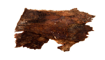 A piece of dry tree bark on an isolated white background. Wooden texture.