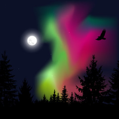 Fototapeta na wymiar Silhouette of coniferous trees on the background of colorful sky. Flying eagle. Night. Green and pink northern lights.