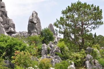 The Stone Forest. Shilin, Yunnan, China.