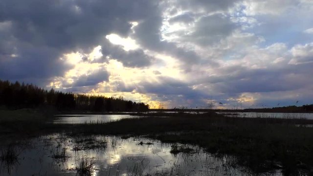 Flying clouds over the lake at sunset. Landscape Wildlife of Northern Europe.