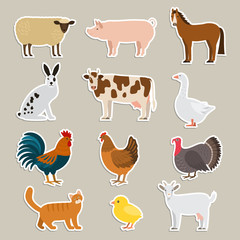 A large set of animals and birds with a farm in a cartoon style. Flat vector illustration isolated