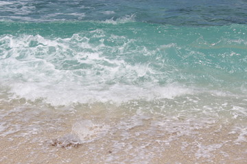 seychelles beach private island coconut