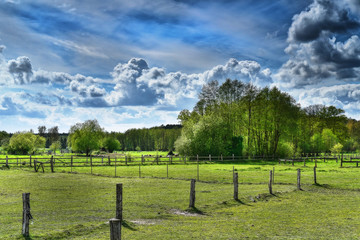 Fototapeta na wymiar Wiese Weide Grün Gras Bäume ländlich Wolken Himmel blau