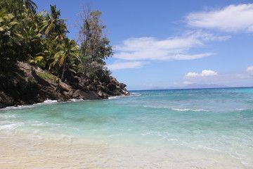 seychelles beach private island coconut