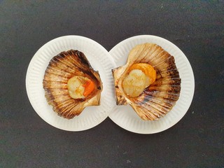 Fresh grilled scallops in the shells on the black background