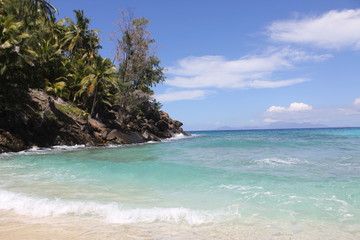 Plakat seychelles beach private island coconut