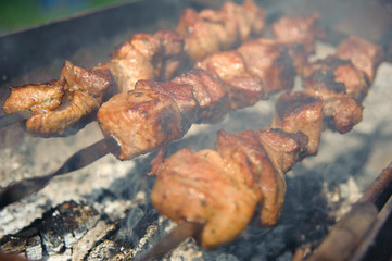 Fresh tasty barbecue with meat kebab in brazier outdoors