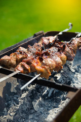 Fresh tasty barbecue with meat kebab in brazier outdoors