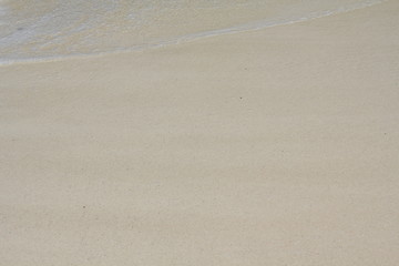 seychelles beach private island coconut