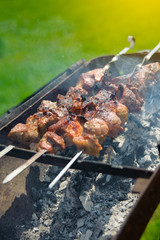 Fresh tasty barbecue with meat kebab in brazier outdoors