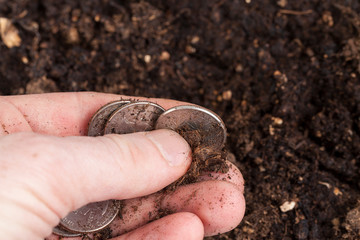 coin in soil