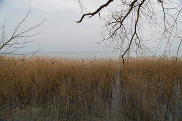 Canneto 7
