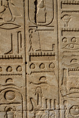 Egyptian ancient hieroglyphs on the stone wall