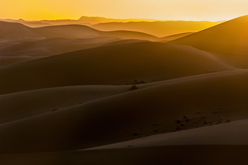 sand dunes in sahara desert at sunset