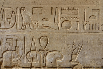 Egyptian ancient hieroglyphs on the stone wall