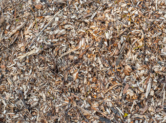 Texture of yellow pile of wooden mulch