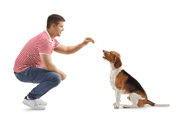 Young guy giving a biscuit to a beagle dog