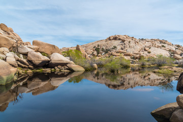 Mirage like scenery of water in California's Joshua Tree National Park desert