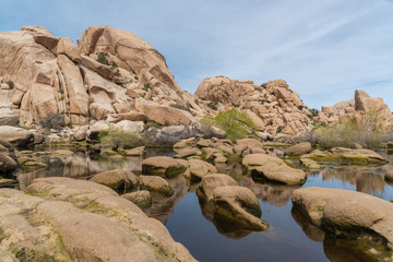 Fototapeta na wymiar Water in the desert in California's rocky scenery at Joshua Tree National Park