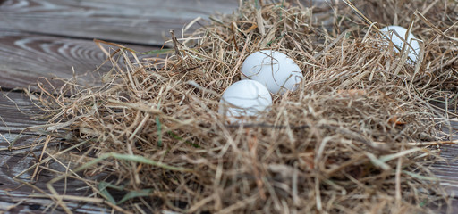 White eggs lays in the dry hay on the wooden aged board