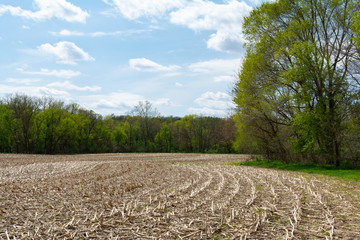 Open field