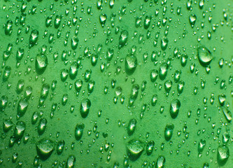 Fototapeta na wymiar Close-up macro photo of water drops on a green leaf