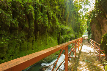 五老ヶ滝川と遊歩道　Gorogataki river and Boardwalk　熊本県山都町