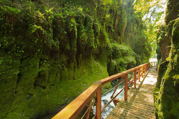 五老ヶ滝川と遊歩道　Gorogataki river and Boardwalk　熊本県山都町