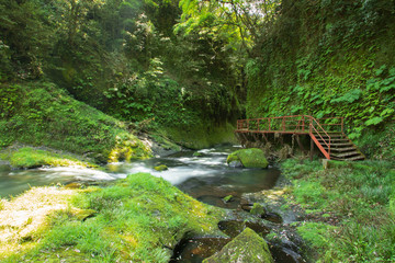 Obraz premium 五老ヶ滝川と遊歩道 Gorogataki river and Boardwalk 熊本県山都町