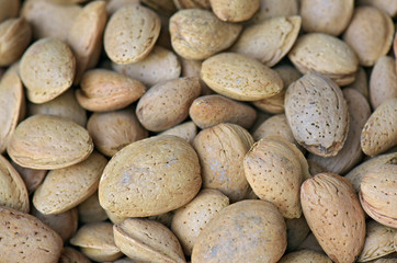 Fototapeta na wymiar Closeup of portion of almond