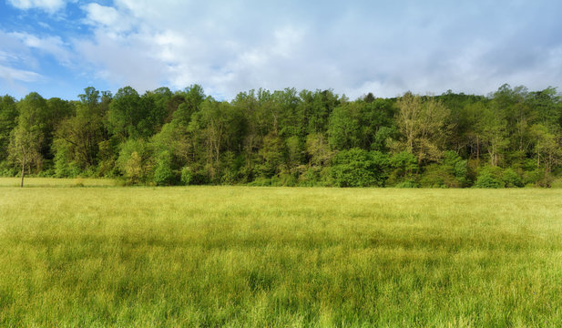 "Spring Mountain Pasture" ZDS Americana Landsccapes Collection